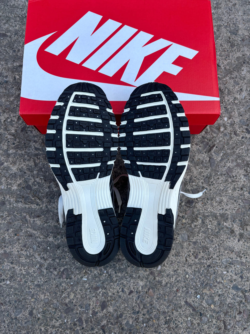 Nike P-6000 Metallic Silver